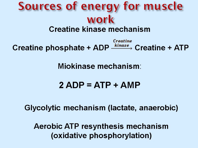 Sources of energy for muscle work Creatine kinase mechanism   Creatine phosphate +